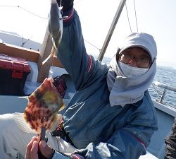 遊漁船 幸友丸 釣果