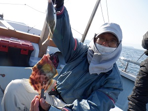 遊漁船 幸友丸 釣果