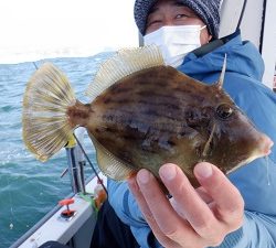 遊漁船 幸友丸 釣果