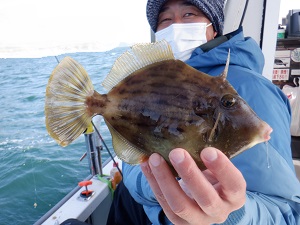 遊漁船 幸友丸 釣果