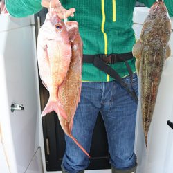 松本釣船２ 釣果