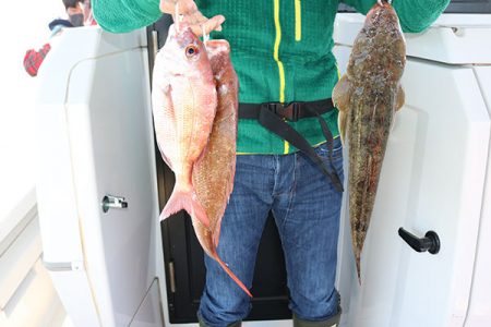 松本釣船２ 釣果