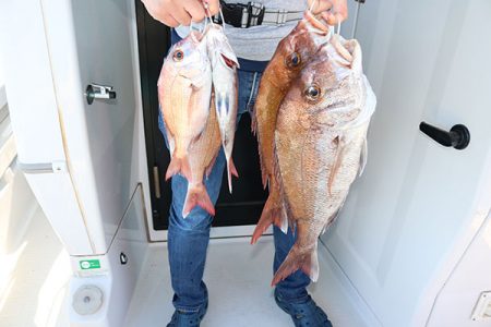 松本釣船２ 釣果