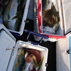 海龍丸(福岡) 釣果