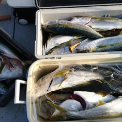 海龍丸(福岡) 釣果