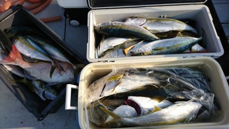 海龍丸(福岡) 釣果