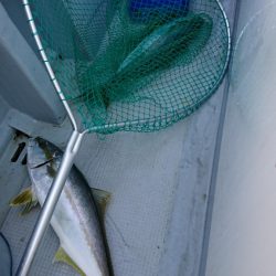 海龍丸(福岡) 釣果