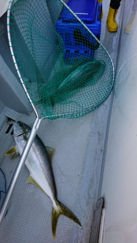 海龍丸(福岡) 釣果