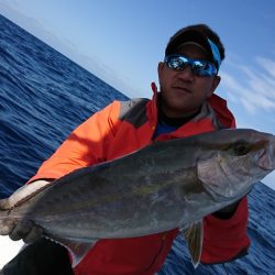 海龍丸(福岡) 釣果