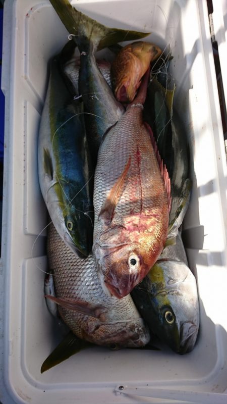 海龍丸(福岡) 釣果