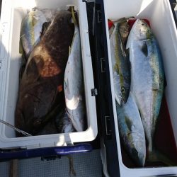 海龍丸(福岡) 釣果