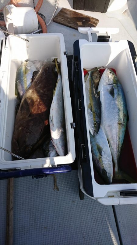 海龍丸(福岡) 釣果