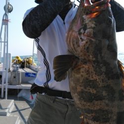 遊漁船 新鋭丸 釣果