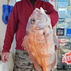 遊漁船 ニライカナイ 釣果