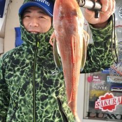 遊漁船 ニライカナイ 釣果