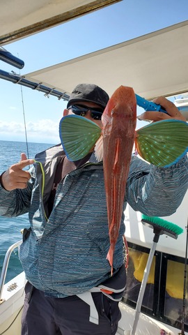 遊漁船 ニライカナイ 釣果