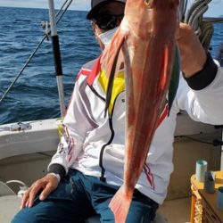 遊漁船 ニライカナイ 釣果