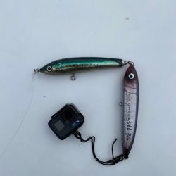 へいみつ丸 釣果