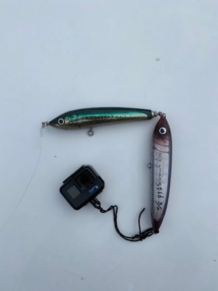 へいみつ丸 釣果