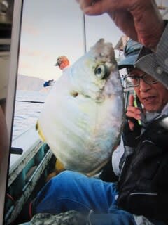 松福丸 釣果
