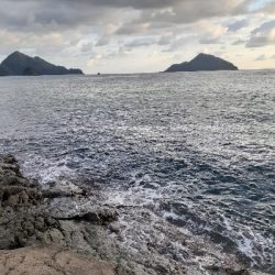 第二回秋アオリイカ調査隊