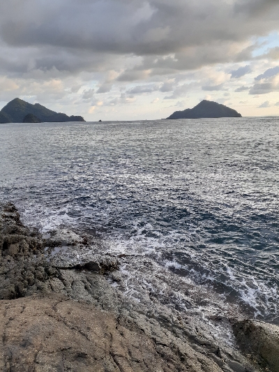 第二回秋アオリイカ調査隊