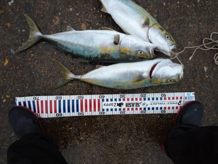 雨の中青物狙い!!