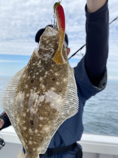 ミタチ丸 釣果