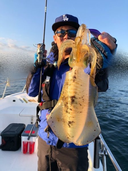 Magic（マジック） 釣果