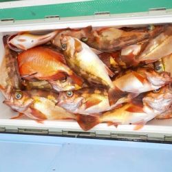 第二むつ漁丸 釣果