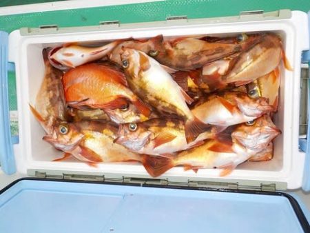 第二むつ漁丸 釣果