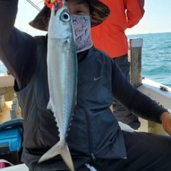 遊漁船 ニライカナイ 釣果