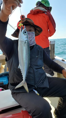 遊漁船 ニライカナイ 釣果