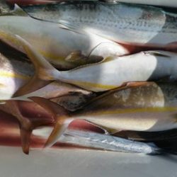 第五慶門丸 釣果