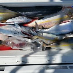 第五慶門丸 釣果