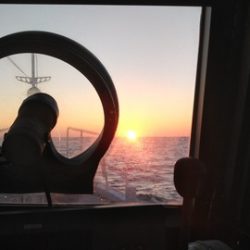 遊漁船 新鋭丸 釣果