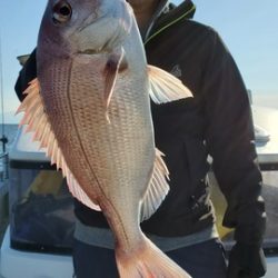 遊漁船 ニライカナイ 釣果