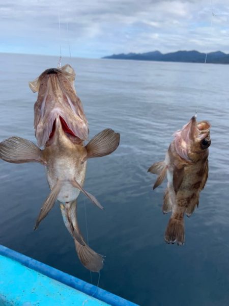 宝昌丸 釣果