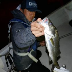 TOPGUN名古屋 釣果