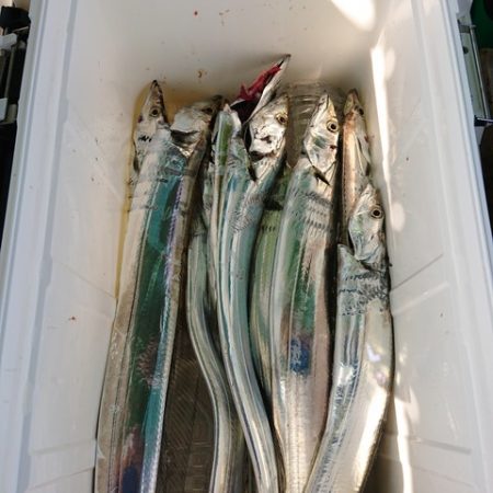 たかみ丸 釣果