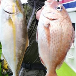 松栄丸 釣果