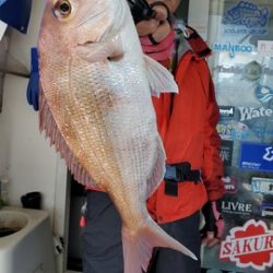 遊漁船 ニライカナイ 釣果