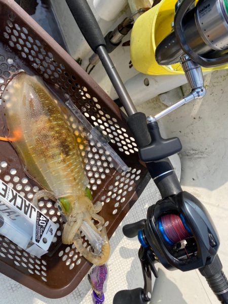 「LaGooN」蒼陽丸 日和号　 釣果