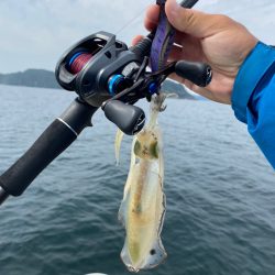 「LaGooN」蒼陽丸 日和号　 釣果
