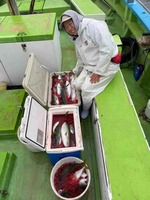 久里浜黒川本家 釣果