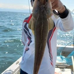 遊漁船 ニライカナイ 釣果