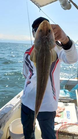 遊漁船 ニライカナイ 釣果