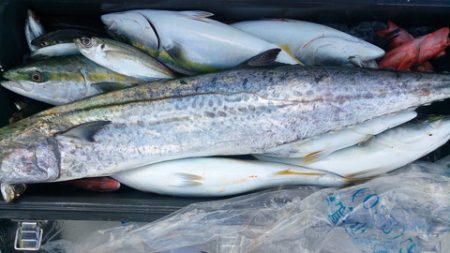 弘福丸 釣果