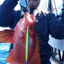 遊漁船 新鋭丸 釣果