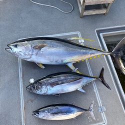 へいみつ丸 釣果